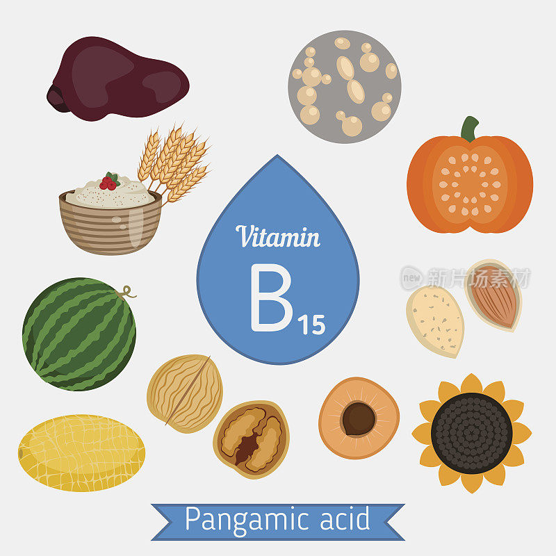 维生素B15或Pangamic Acid信息图表